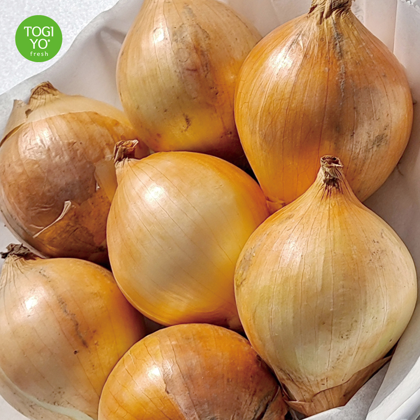 양파 5kg 10kg 국산양파 상품(대) 산지직송 대용량 식당 업소용 껍질양파 23년산.jpg
